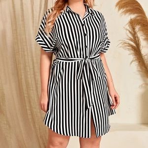 Plus batwing striped belted shirt dress
